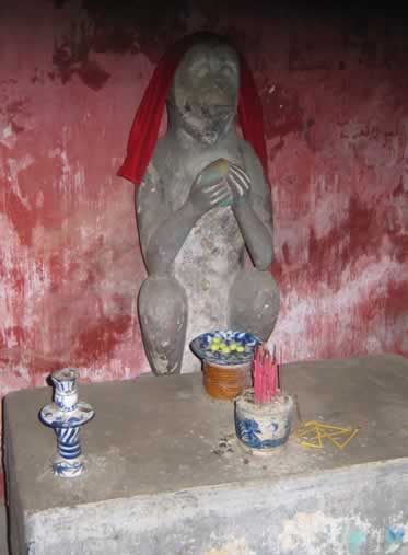 hoain_bridge_monkey_4436