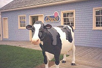 �L���E�Y�̋����� �iCows�Ȃ̂ɉ��łł���H�j
