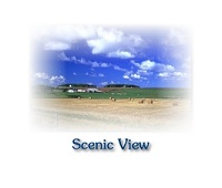 Scenic View