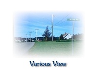 Various View