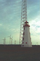 North Cape �̓���