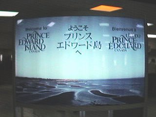 �悤���� �v�����X�G�h���[�h����