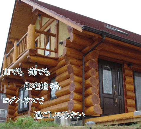 �悤�����Ƃ��Ƃ̐X�z�[���y�[�W��