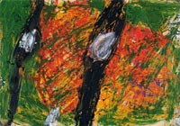 �d�M�� 2005 No.14