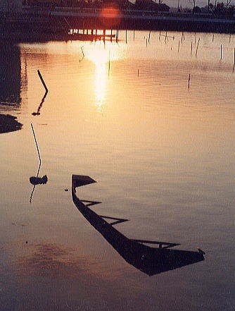 �t�͍��������ł�