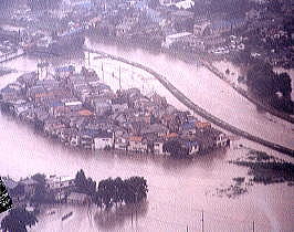 �^���ɏP��ꂽ�Z��X�@��ʌ�����