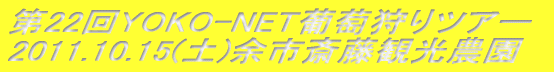 22YOKO-NETcA[ 2011.10.15(y)]s֓ό_
