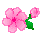 MARK