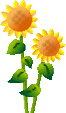 �z�[���ɖ߂�{�^��