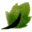 MARK