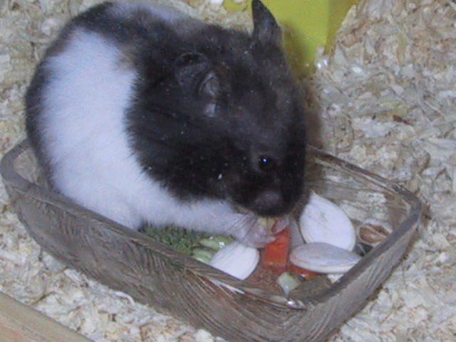 04