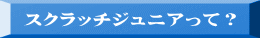 スクラッチジュニアって？