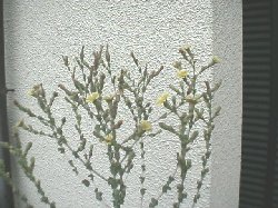 2001/06/25