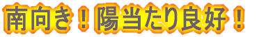 ������I�z������ǍD�I