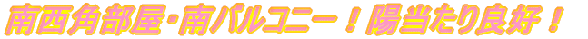 ����I�z������ǍD�I