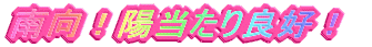 �y�b�g��