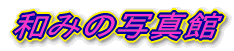 �a�݂̎ʐ^��